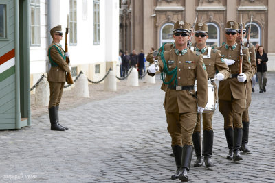 Presidential Guard