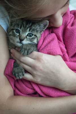 Young Girl and Kitten