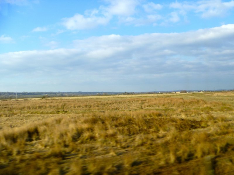 P1090586.jpg