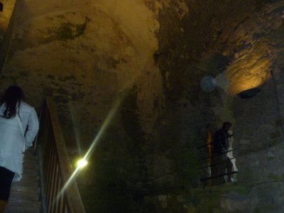P1080931.jpg