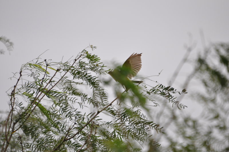 DSC_0014.JPG