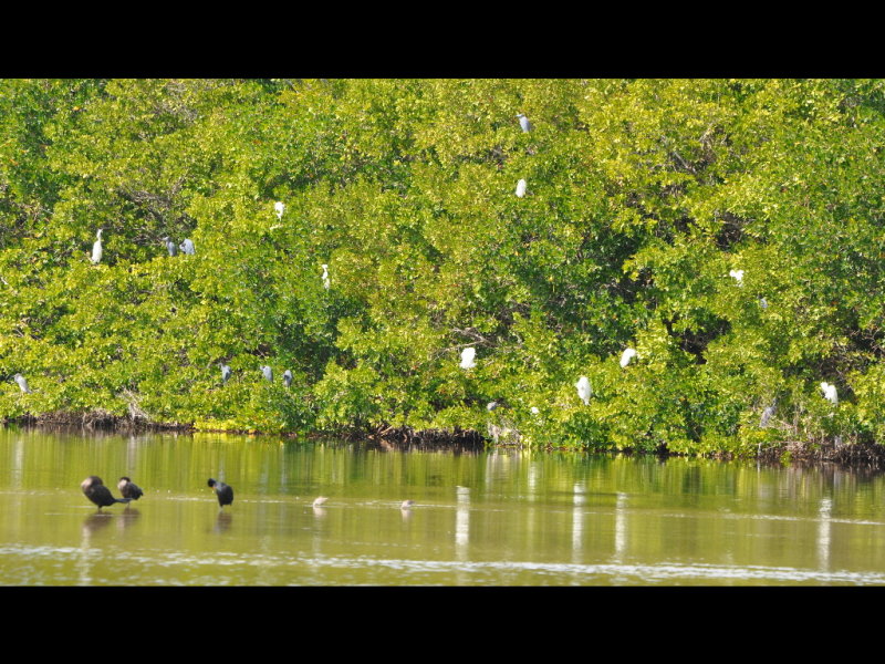DSC_0976b.JPG