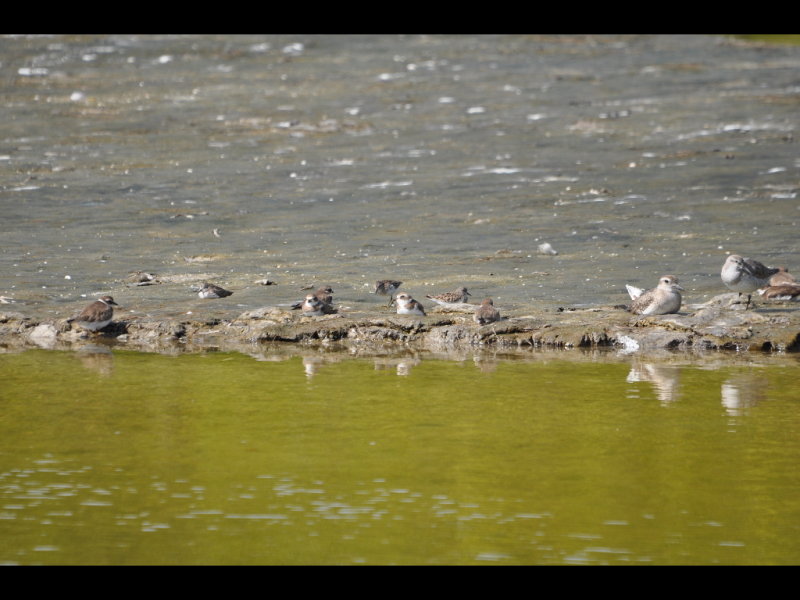 DSC_0024b.JPG