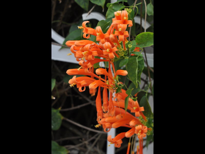 DSC_0270b.JPG