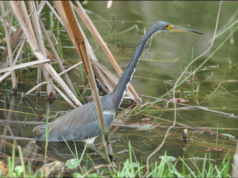 DSC_0404b.JPG
