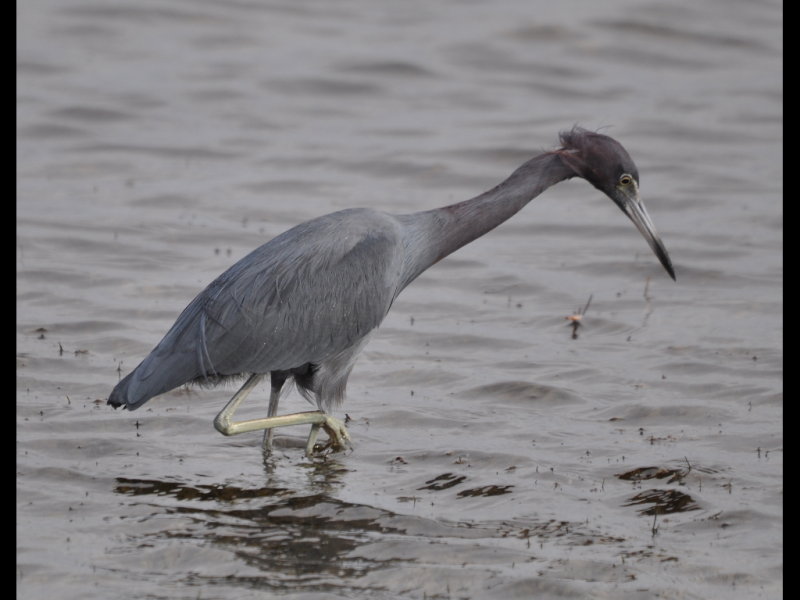 DSC_0268b.JPG