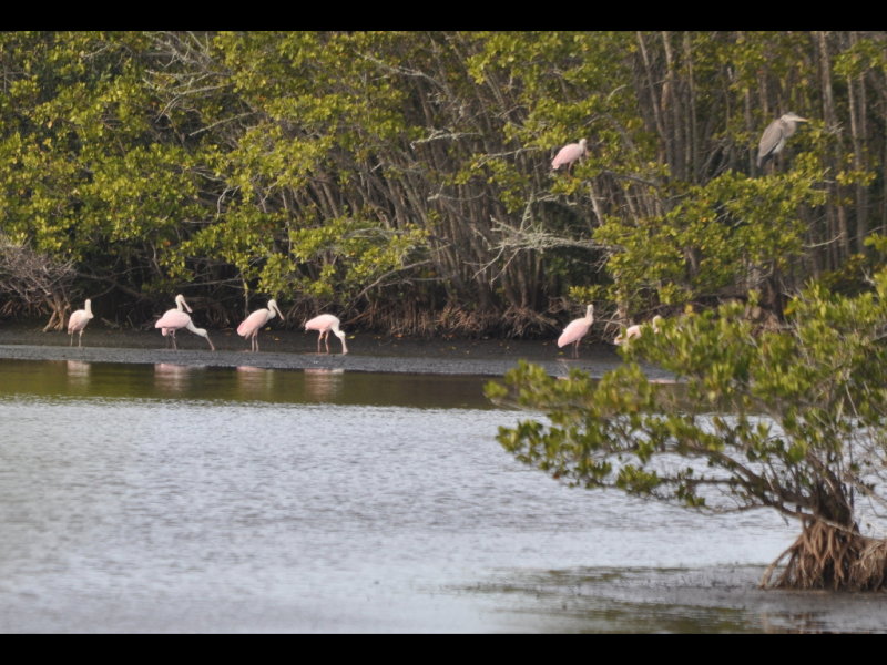 DSC_0336b.JPG