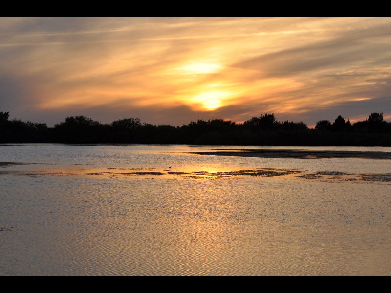 DSC_0041b.JPG