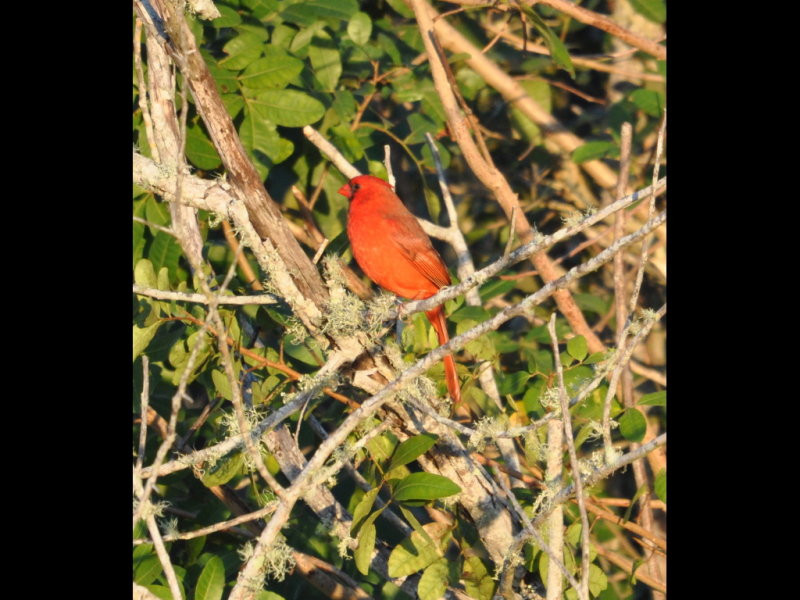 DSC_0017b.JPG