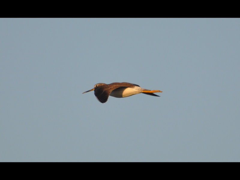 DSC_0019b.JPG