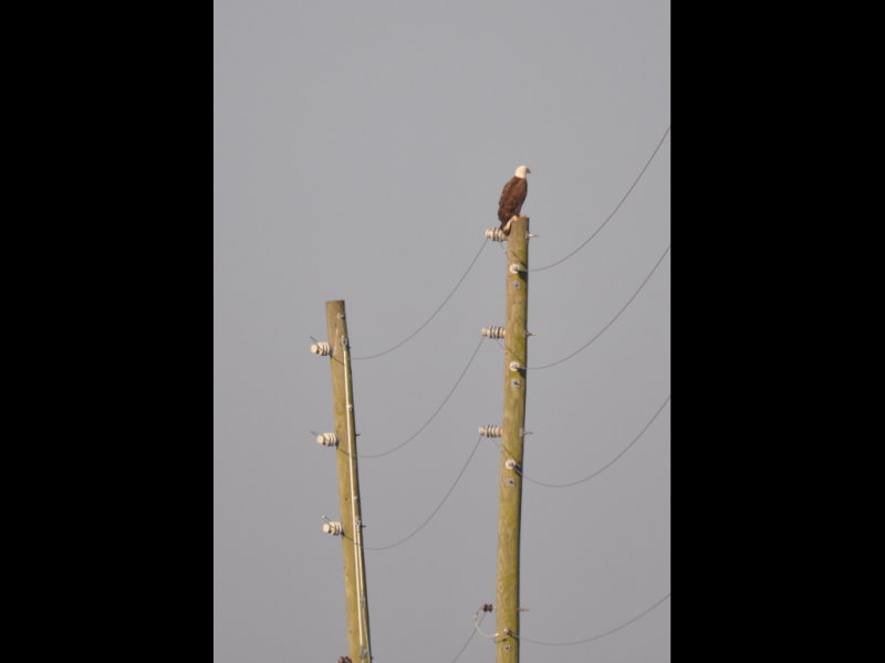 DSC_0136b.JPG