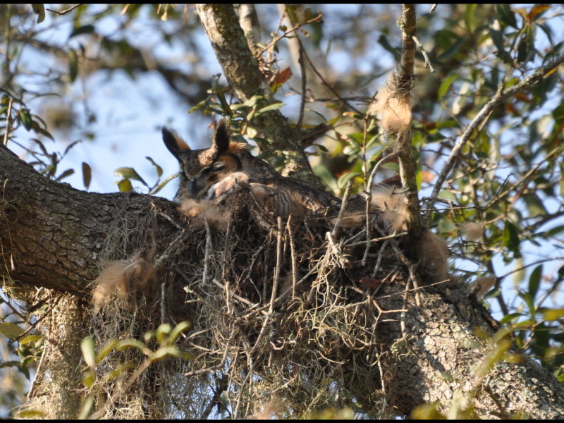 DSC_0159b.JPG