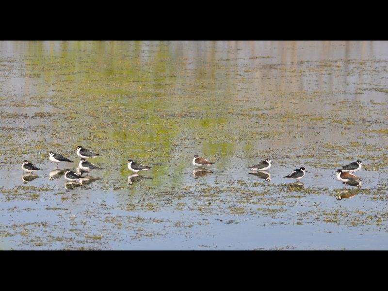 DSC_0265b.JPG