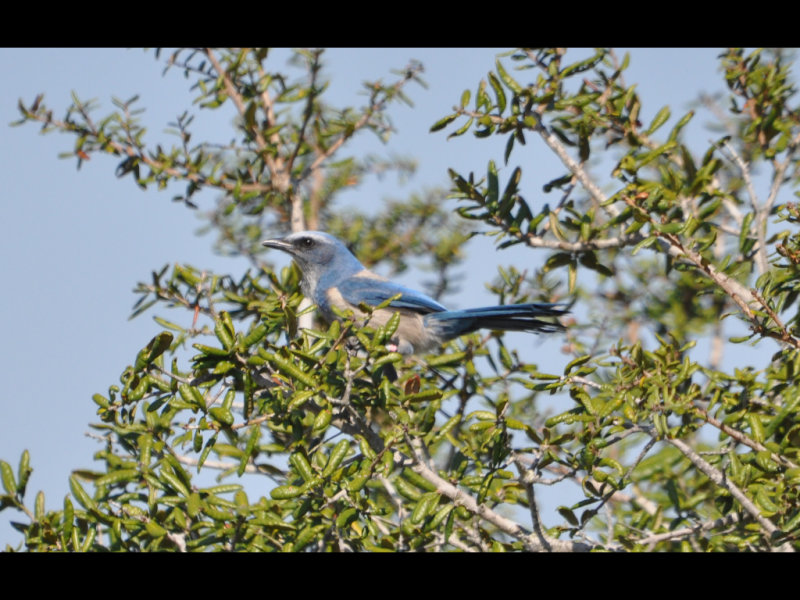 DSC_0480b.JPG