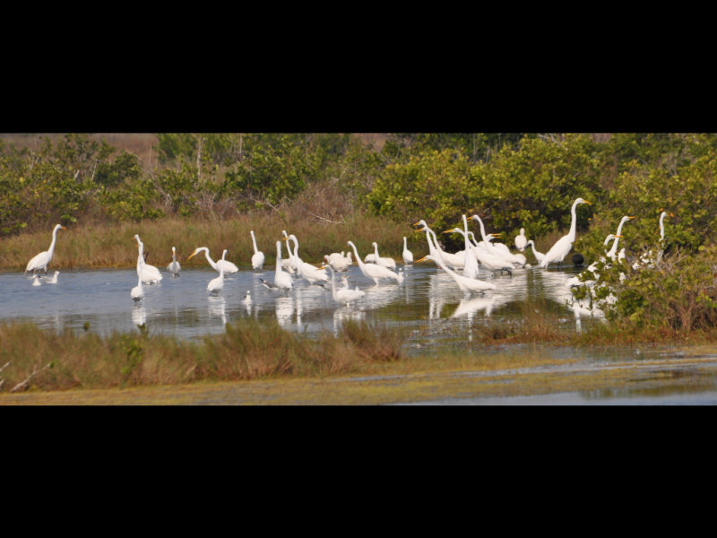 DSC_0166b.JPG