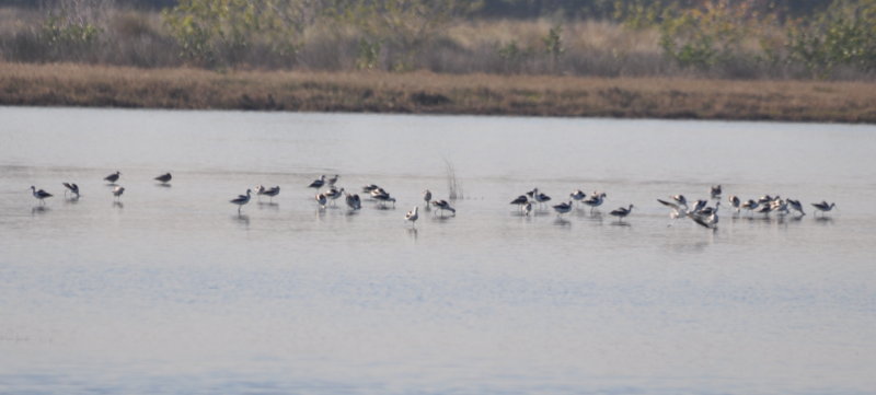 DSC_0199b.JPG