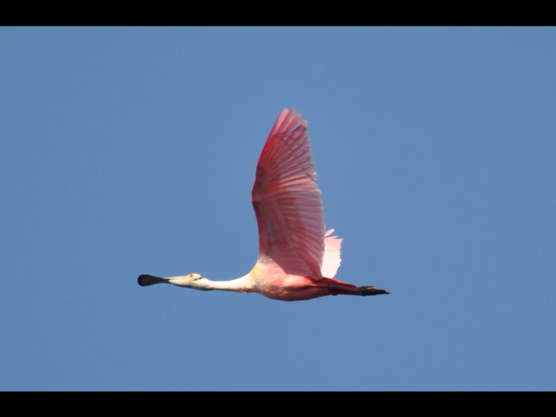 DSC_0349b.JPG