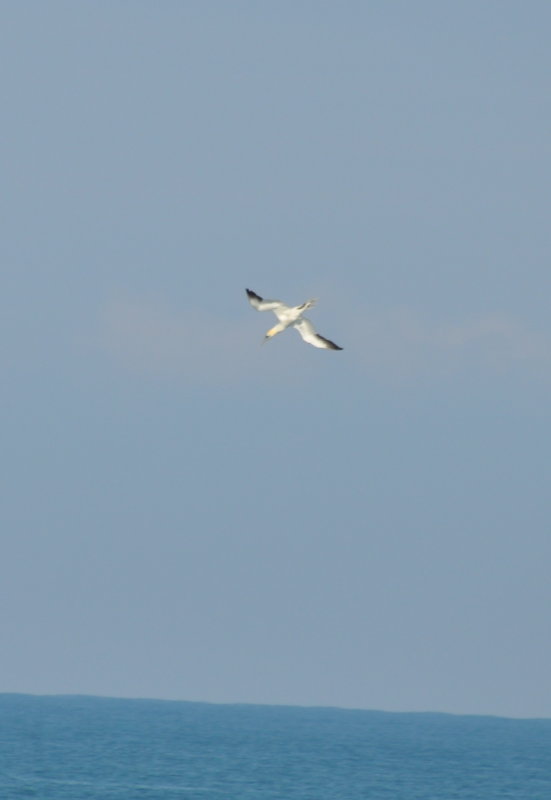 DSC_0456b.JPG