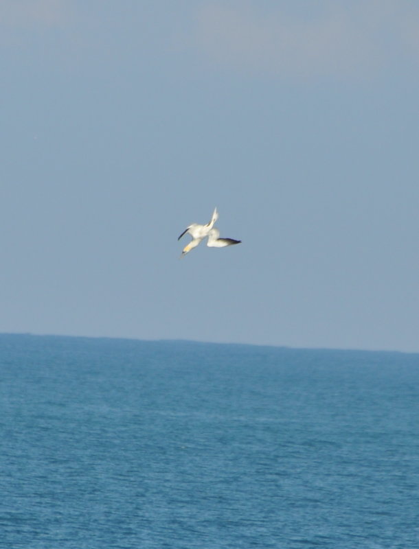DSC_0457b.JPG