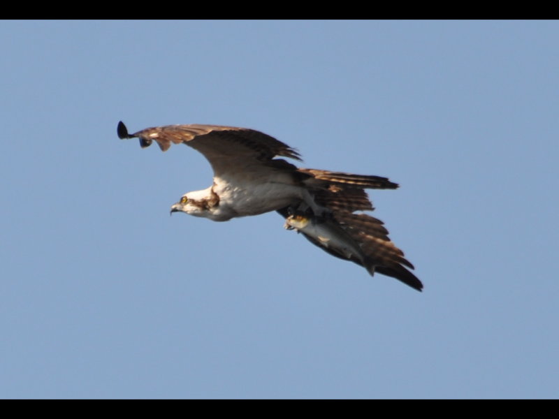 DSC_0813b.JPG