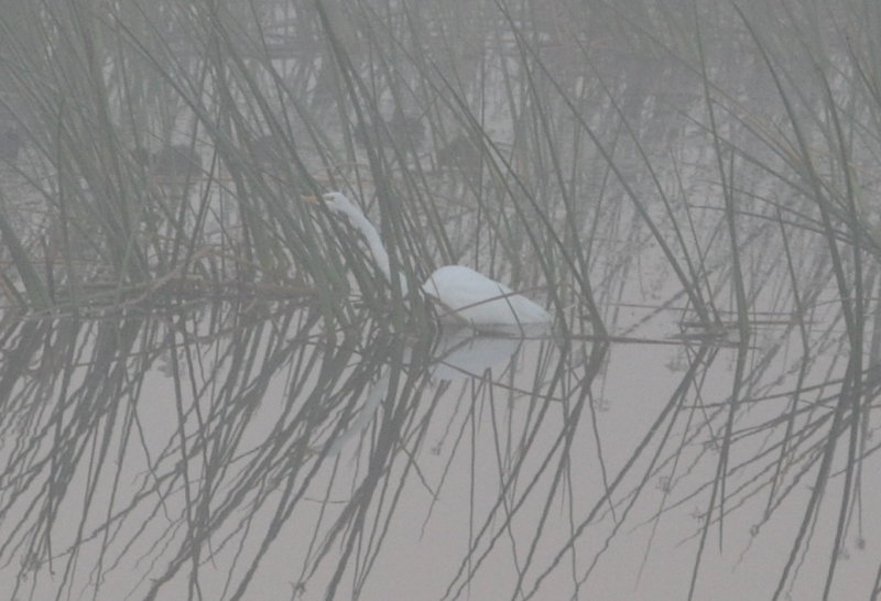 DSC_0905b.JPG