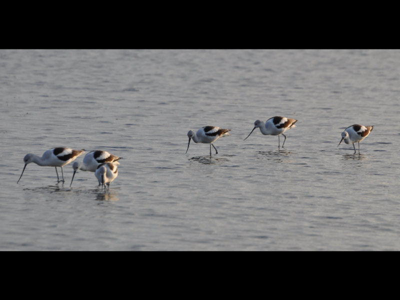DSC_0544b.JPG