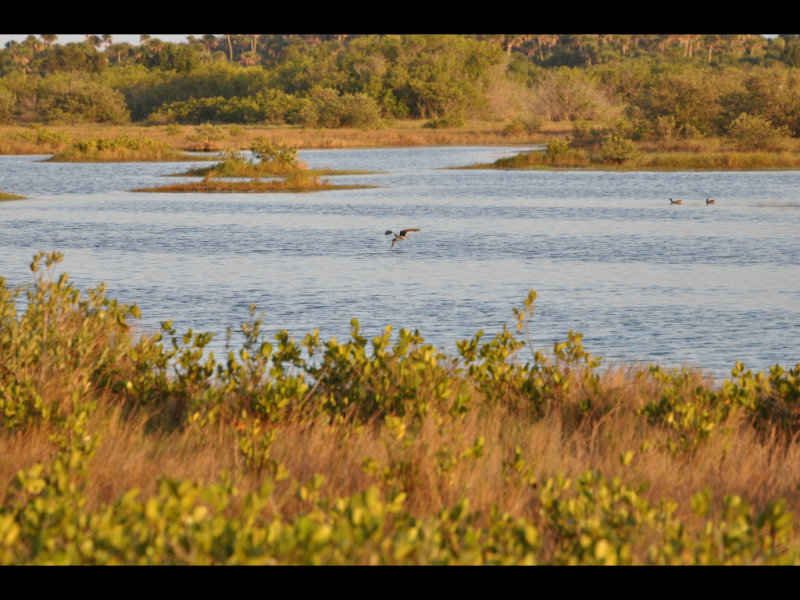 DSC_0581b.JPG