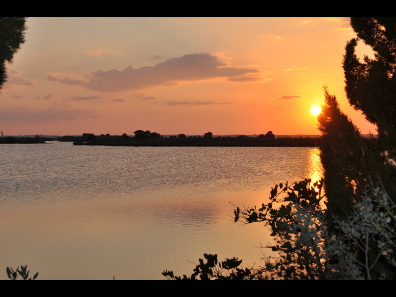 DSC_0801b.JPG