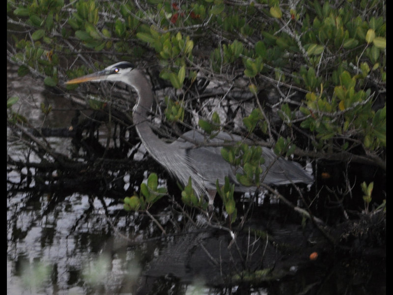 DSC_0815b.JPG
