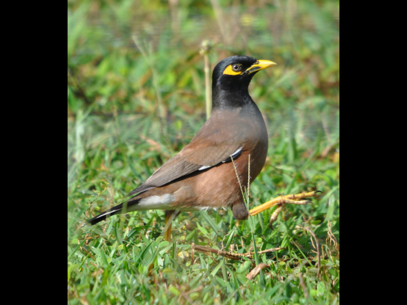 DSC_0048b.JPG