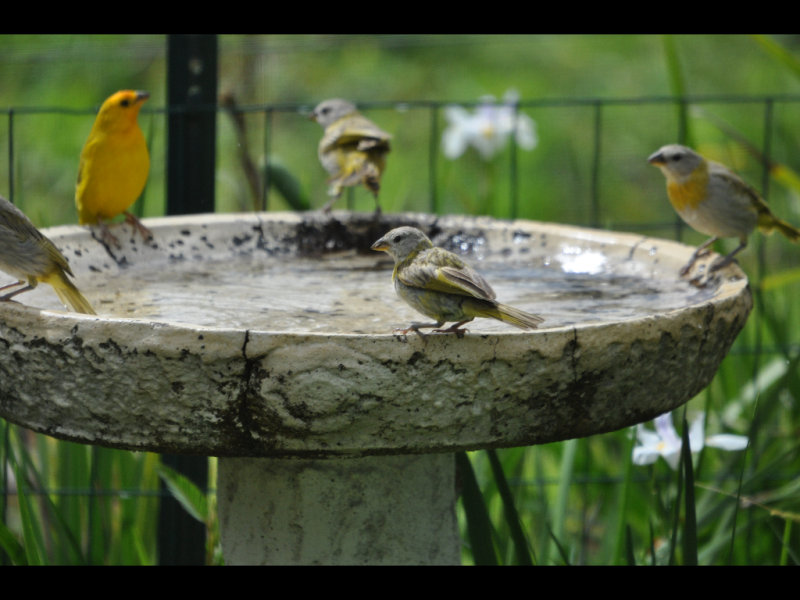 DSC_0138b.JPG