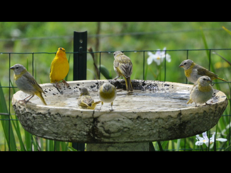 DSC_0139b.JPG