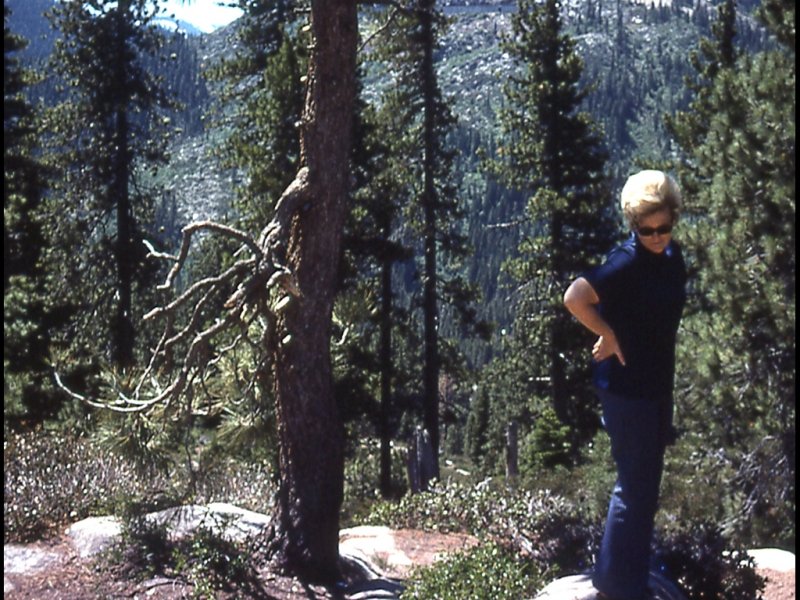 Scan008711.jpg