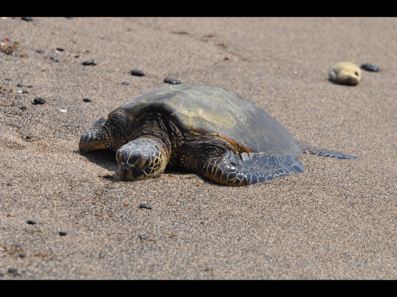 DSC_0263r.JPG