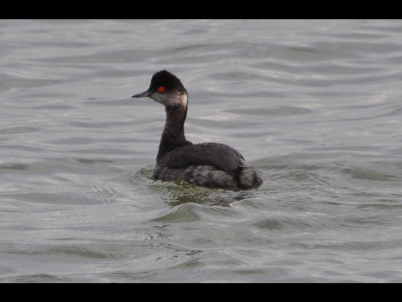 DSC_0670b.JPG