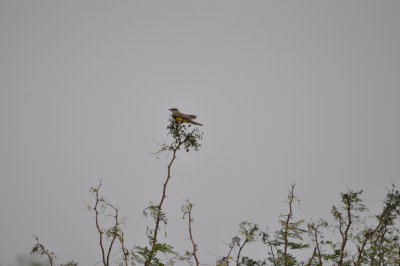 DSC_0001.JPG