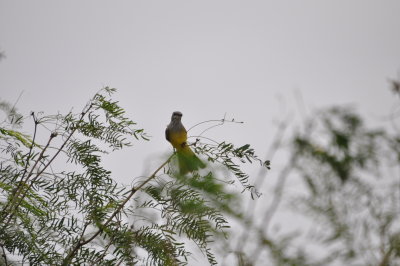 DSC_0015.JPG