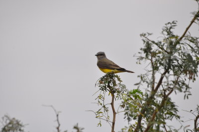 DSC_0024.JPG