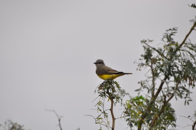 DSC_0026.JPG