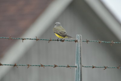 DSC_0055.JPG