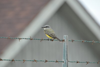 DSC_0057.JPG