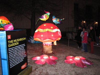 IMG_1666b.JPG