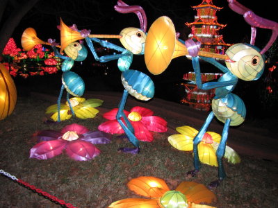 IMG_1689b.JPG