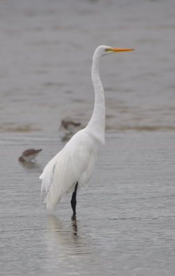 DSC_0830b.JPG