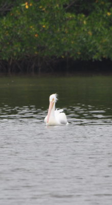 DSC_0838b.JPG