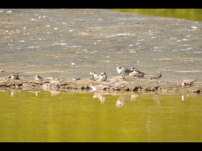 DSC_0017b.JPG