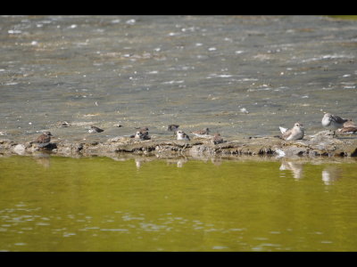 DSC_0024b.JPG