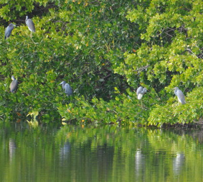 DSC_0042b.JPG