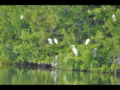 DSC_0044b.JPG