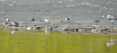 DSC_0048b.JPG